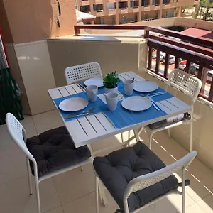 Palmeras , Fuengirola Spain